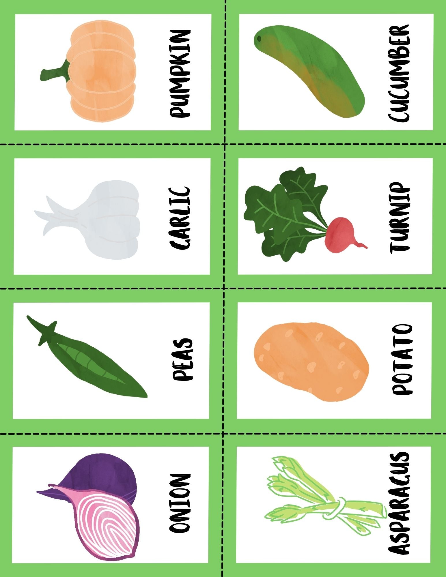 Vegetable Nature Study and Flashcards