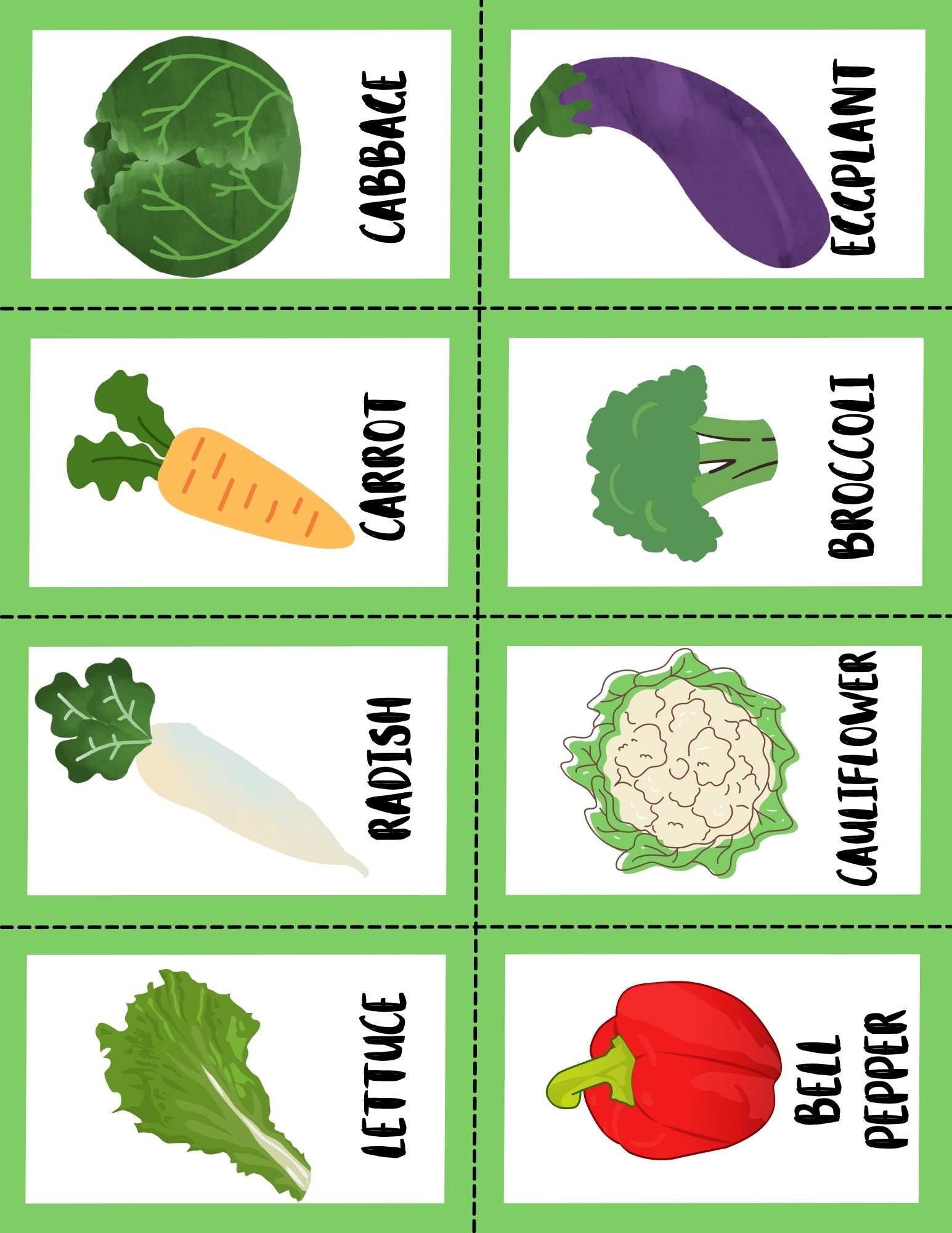 Vegetable Nature Study and Flashcards