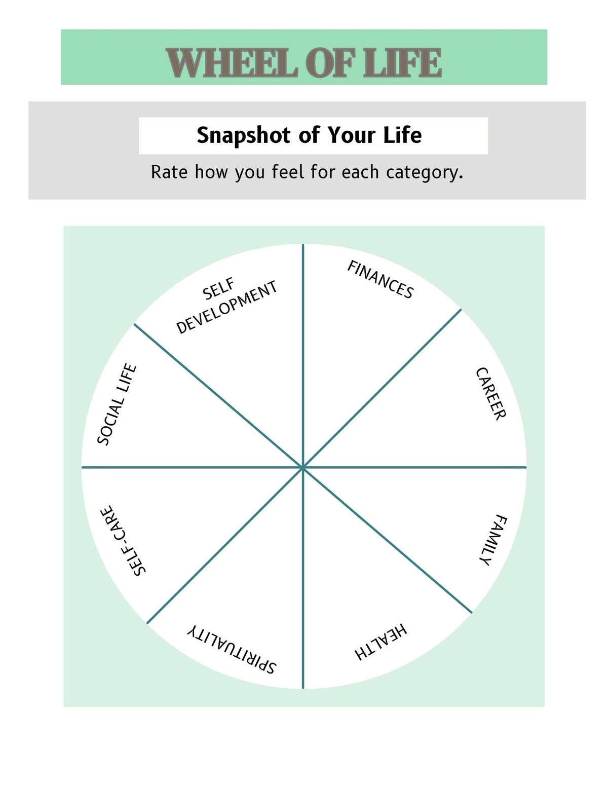 wheel of life to rate feelings for different categories. finances, career, family, spiritual and others