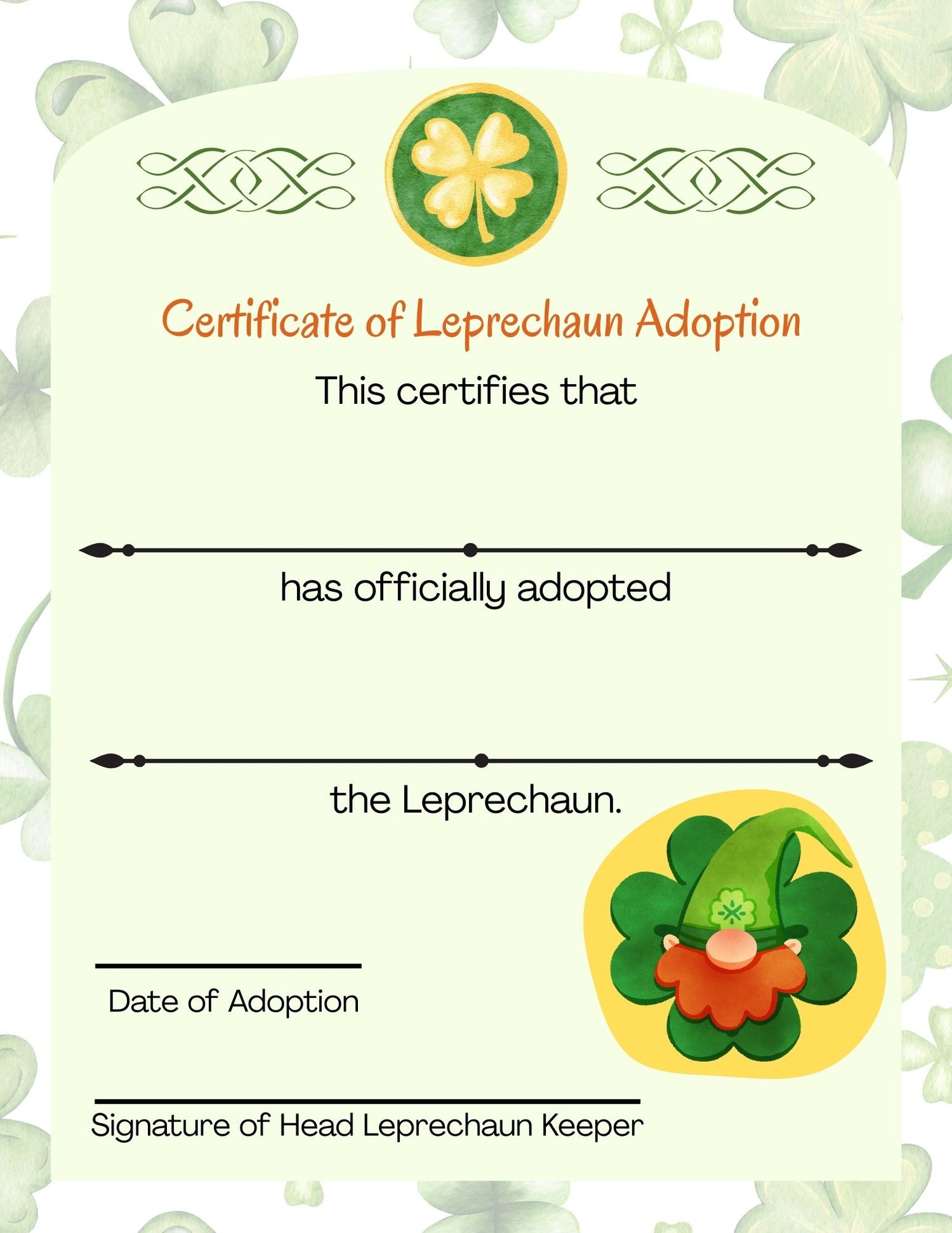 Adopt a Leprechaun Kit