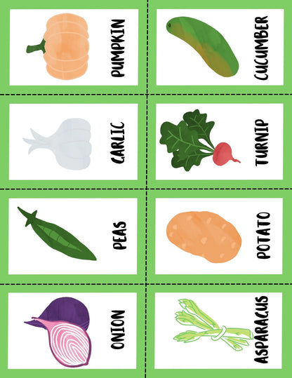 Vegetable Nature Study and Flashcards